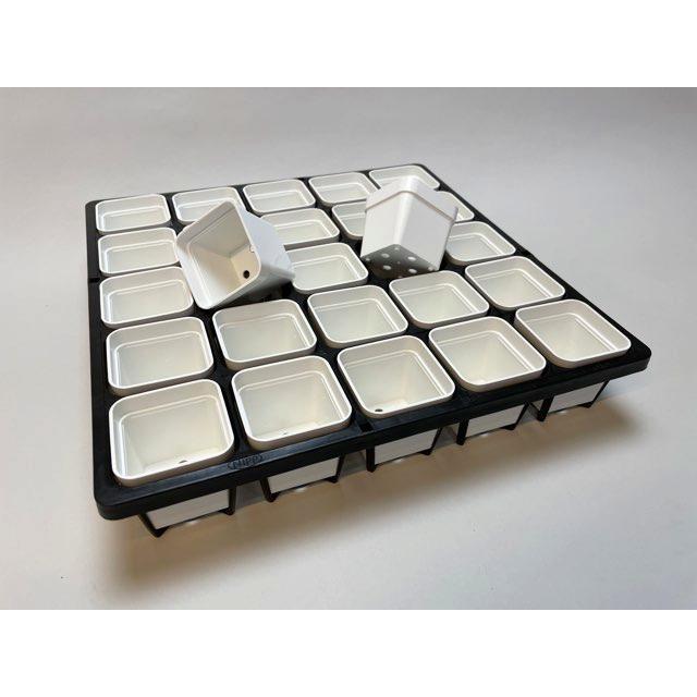 6cmポットや1.7号鉢用四角型枠トレイハーフ：5×5=25鉢用＋1.7号四角