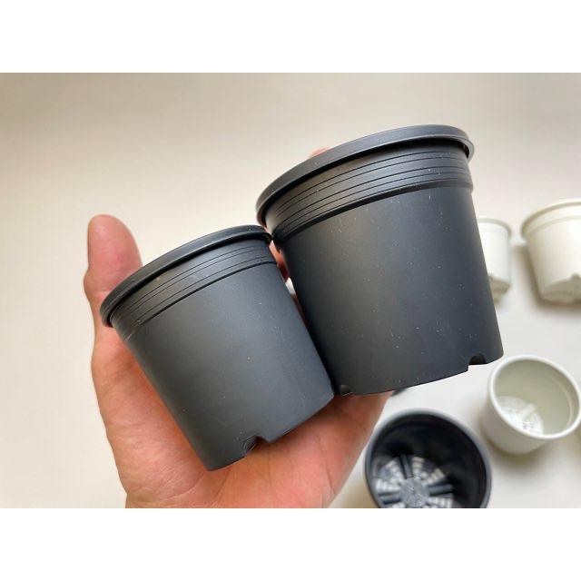 6cmポットや2号鉢用丸型枠トレイ：5×7=35鉢用＋生産者仕様[カントー