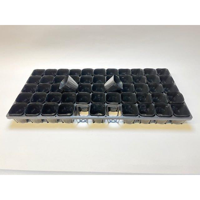 6cmポットや1.7号鉢用四角型枠トレイ：5×11=55鉢用＋6cmミニポット
