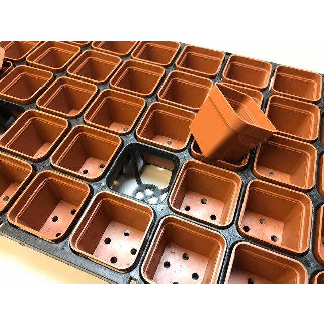 サフィレット 8個セット 3401-0106-co3a.jpg