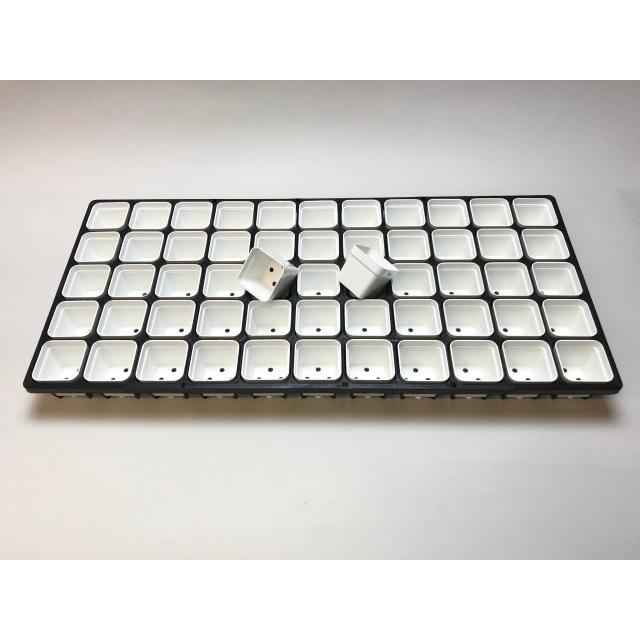 6cmポットや1.7号鉢用四角型枠トレイ：5×11=55鉢用＋1.7号四角プラ鉢