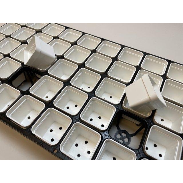 6cmポットや1.7号鉢用四角型枠トレイ:5×11=55鉢用+1.7号四角 6cmポットや1.7号鉢用四角型枠トレイ:5×11=55鉢用+1.7号四角