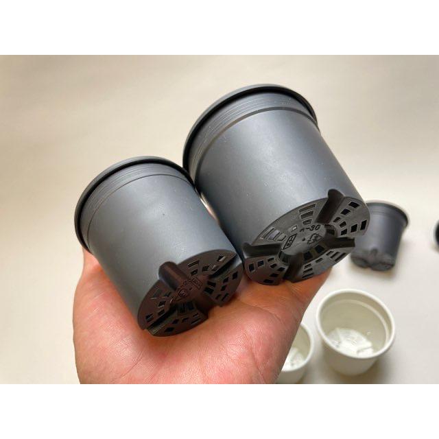 7.5cmポットや2.5号鉢用丸型枠トレイ：4×6=24鉢用＋生産者仕様