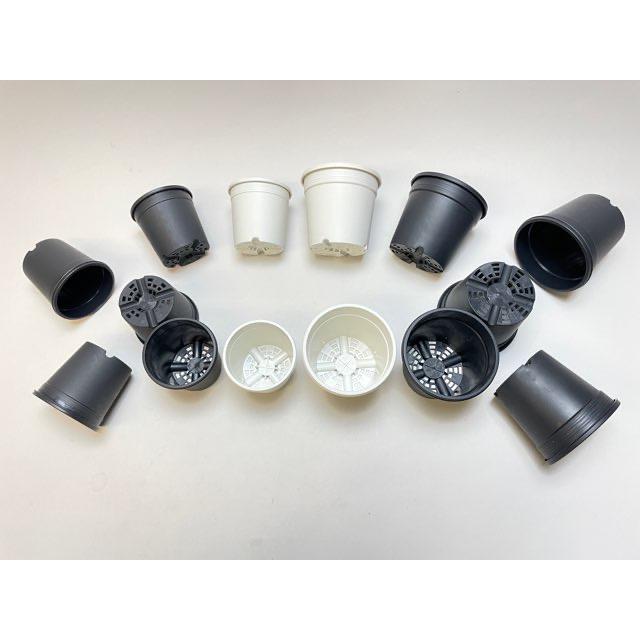 7.5cmポットや2.5号鉢用丸型枠トレイ：4×6=24鉢用＋生産者仕様