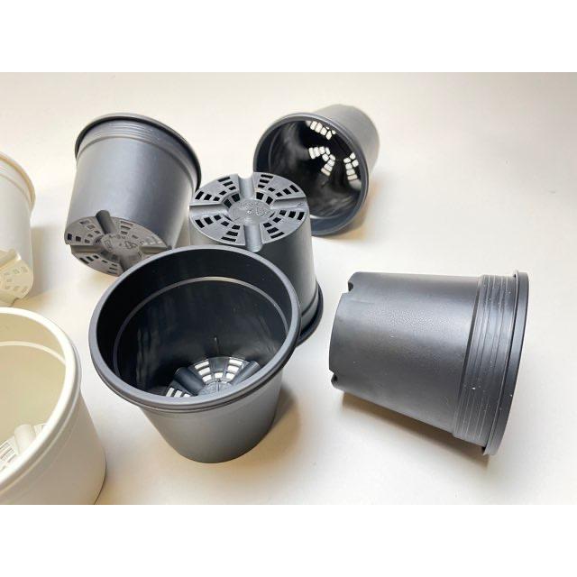 7.5cmポットや2.5号鉢用丸型枠トレイ：4×6=24鉢用＋生産者仕様