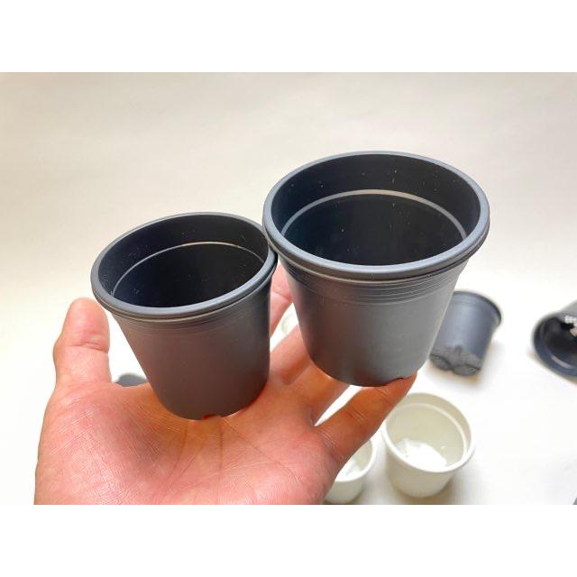 7.5cmポットや2.5号鉢用丸型枠トレイ：4×6=24鉢用＋生産者仕様