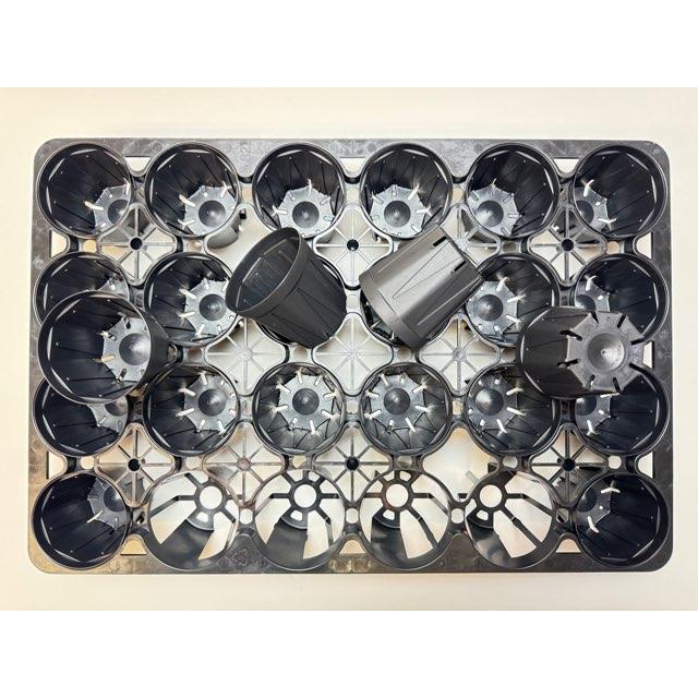 とのまりさま専用 147×52P 147SOZ オールマイティ ZERO(マルノコ用) Y'sGOD 刃数