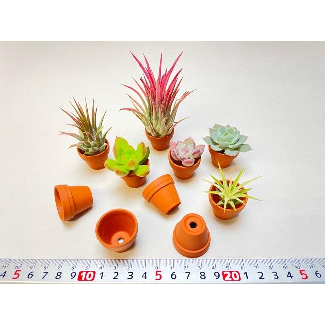 テラコッタ鉢-1.0号/超ミニ(ミニ)(外径φ3×高さ2.5cm/☆小さい方から