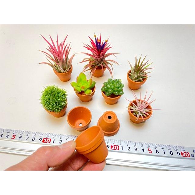テラコッタ鉢-1.2号/超ミニ(小)(外径φ3.5×高さ3cm/☆小さい方 テラコッタ鉢-1.2号/超ミニ(小)(外径φ3.5×高さ3cm/☆小さい方