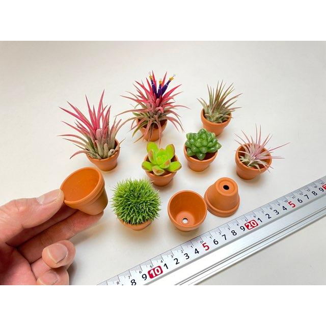 テラコッタ鉢-1.2号/超ミニ(小)(外径φ3.5×高さ3cm/☆小さい方からNo