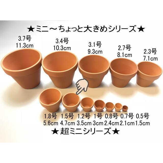 テラコッタ鉢-1.5号/超ミニ(中)(外径φ4.7×高さ4cm/★小さい方から...No.6)※多少凸凹欠け可能性あり｜fseguchi