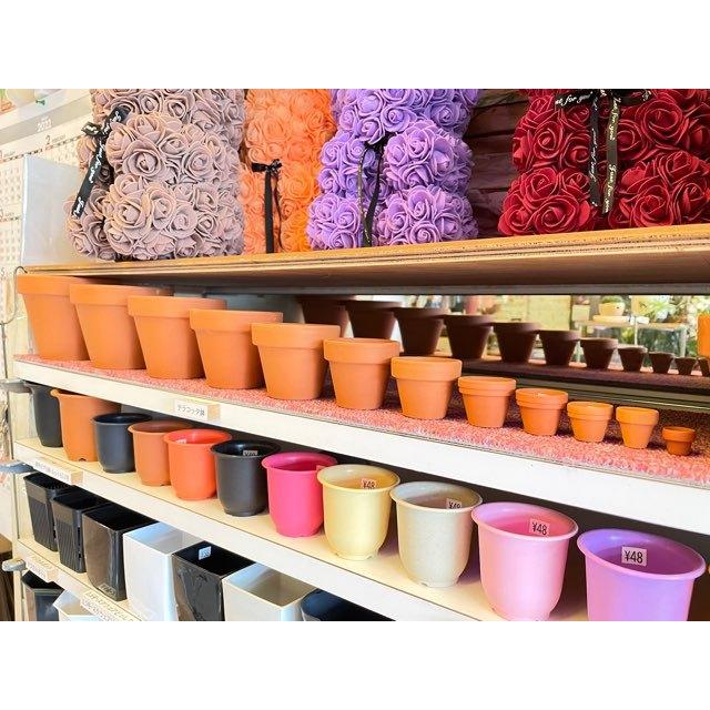 テラコッタ鉢-1.5号/超ミニ(中)(外径φ4.7×高さ4cm/☆小さい方からNo