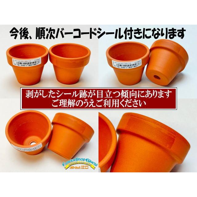 テラコッタ鉢-3.1号/テラミニ大-中(外径φ9.3×高さ7.6cm/☆小さい方から