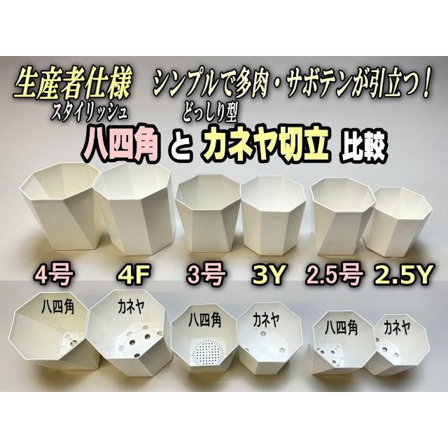 八四角プラ鉢-2.5号-小(八角型底四角鉢)※黒インク状の付着が有っ 八四角プラ鉢-2.5号-小(八角型底四角鉢)※黒インク状の付着が有っ