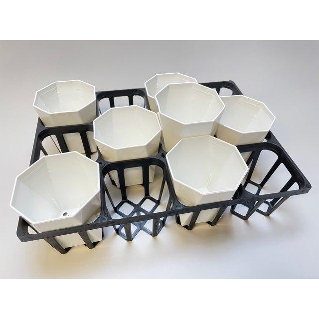八四角プラ鉢-2.5号-小(八角型底四角鉢)※黒インク状の付着が有っ 八四角プラ鉢-2.5号-小(八角型底四角鉢)※黒インク状の付着が有っ