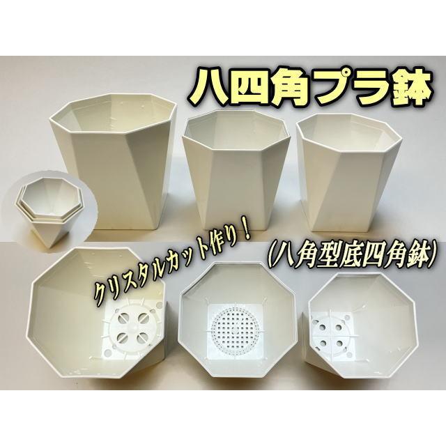 ＋　新品未使用品　サブロウ　四角鉢　＋ 八四角プラ鉢-3号-中(八角型底四角鉢)※黒インク状の付着が有ったりし