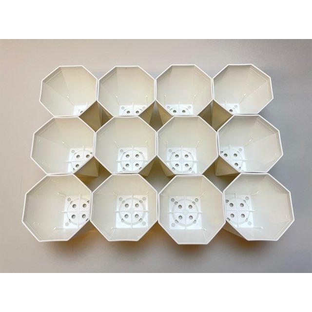 八四角プラ鉢-3号-中(八角型底四角鉢)※黒インク状の付着が有ったりし