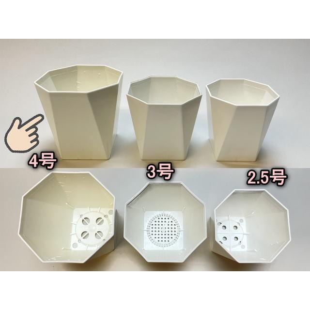 八四角プラ鉢-4号-大(八角型底四角鉢)※黒インク状の付着が有っ 八四角プラ鉢-4号-大(八角型底四角鉢)※黒インク状の付着が有っ