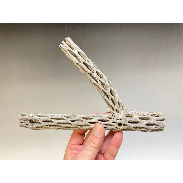 YDW カクタス スケルトン パーチ 小さめ No.368、370、371