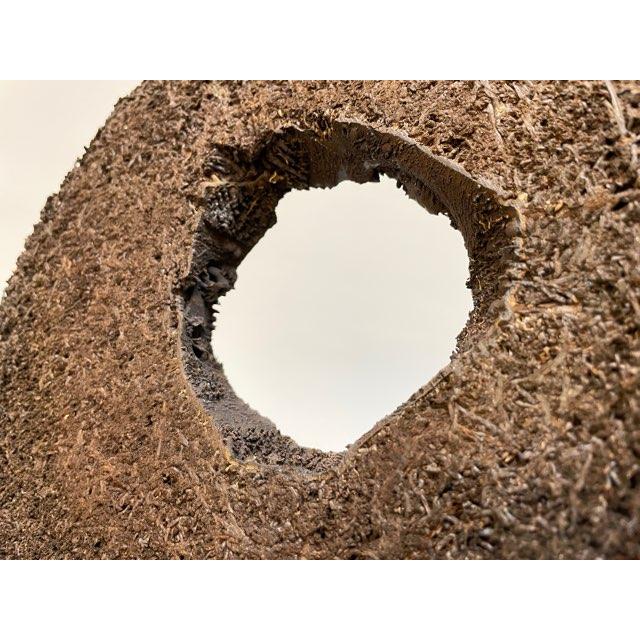 ヘゴ板 Amazon | ヘゴ板 1枚 30×18×3cm | 植木