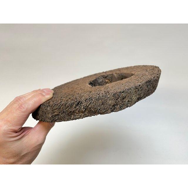 現品販売-2]ヘゴ板：スライス状だ円型・輪切り-No.2-ビカクシダ