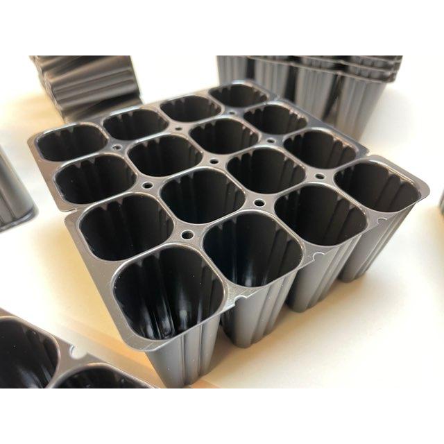 M*i様 2025実生苗セットt❤️　4センチポット ポット全自動播種機（ポット成苗用） | みのる産業株式会社 agri