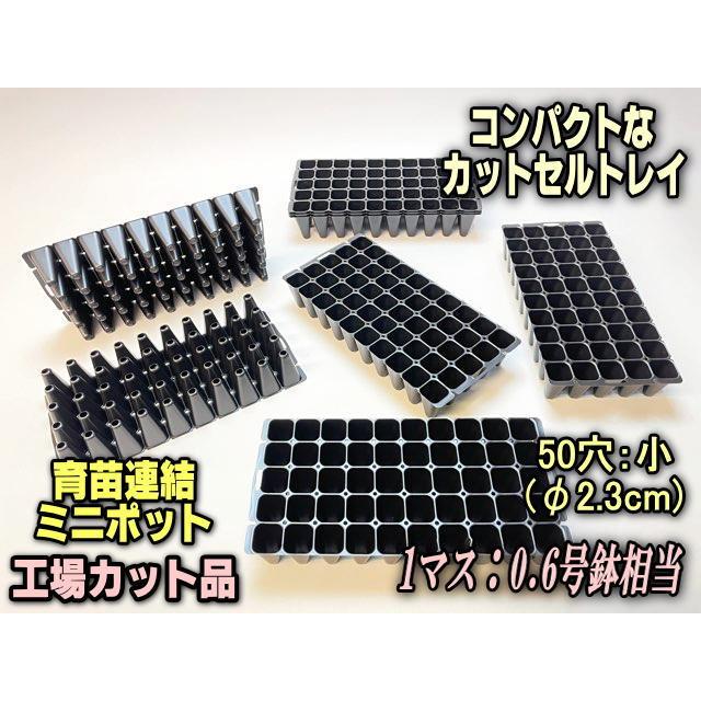 育苗ミニポット:カットセルトレイ-10×5=50穴[植穴:小2.3cm四角]工場