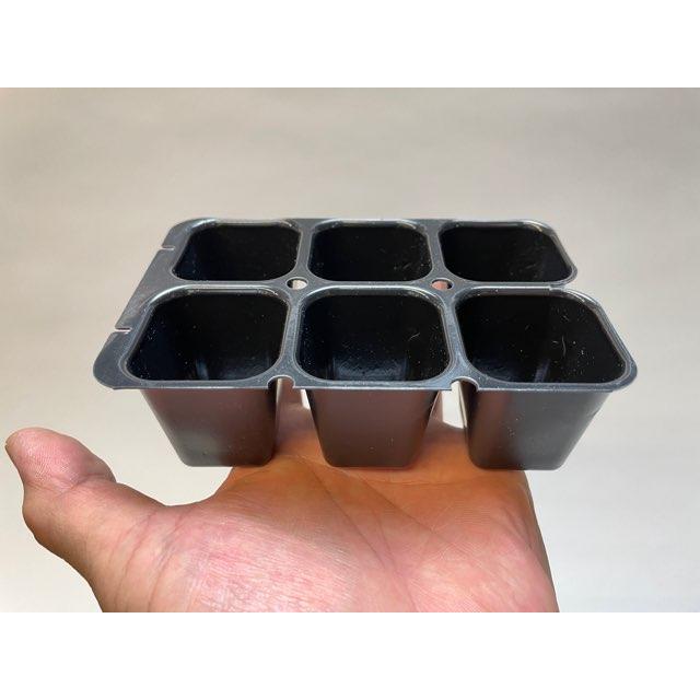 育苗ミニポット:カットセルトレイ-3×2=6穴[植穴:大3.9cm四角]工場分割