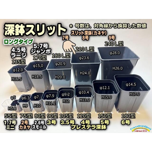 スリット深鉢210L型-四角☆(8号ロング相当:対角線換算):カネヤ スリット深鉢210L型-四角☆(8号ロング相当:対角線換算):カネヤ