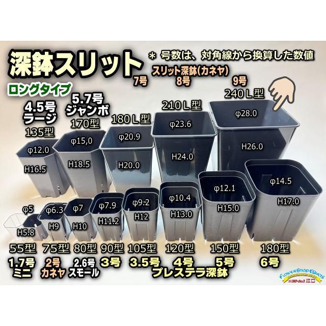 スリット深鉢240L型-四角☆(9号ロング相当:対角線換算):カネヤ スリット深鉢240L型-四角☆(9号ロング相当:対角線換算):カネヤ