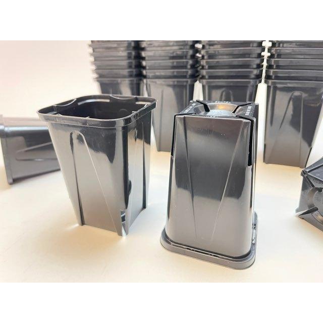 スリット深鉢75☆(2号ロング相当)：カネヤスリットポット-黒-超ミニ