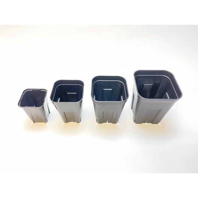 スリット深鉢75☆(2号ロング相当)：カネヤスリットポットk＠多肉植物