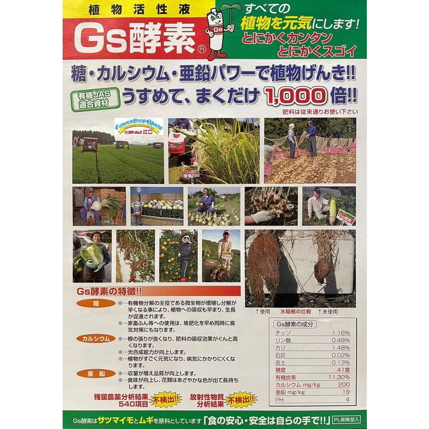 植物活性液Gs酵素-10Ｌ＊オーガニック・有機JAS認定規格適合資材※1箱で1ヶ口になり、数量分の送料が計算されます。｜fseguchi｜07