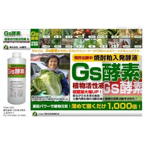 植物活性液Gs酵素-20L＠特殊肥料＊家庭菜園-生産者＊オーガニック