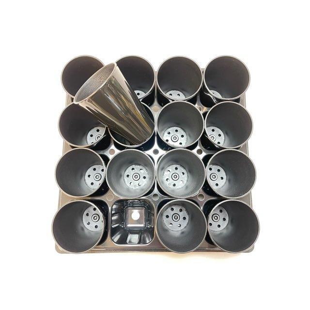 厚手の2号ロングミニプラ鉢-黒※【黒-超ミニ】[2GB] : フラワーショップ