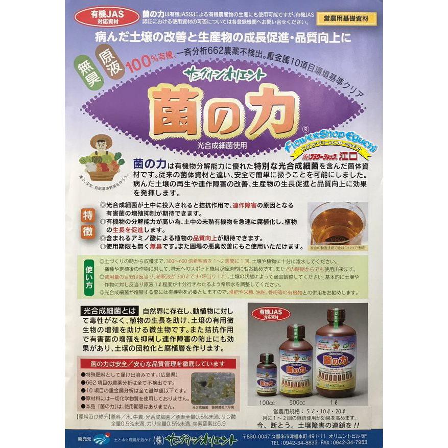 光合成細菌 20L 超濃縮　現物出品 菌の力-20L(光合成細菌を含んだ菌体資材) : フラワーショップ江口Yahoo