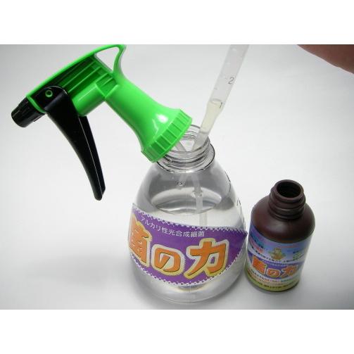 光合成細菌 20L 超濃縮　現物出品 菌の力-20L(光合成細菌を含んだ菌体資材) : フラワーショップ江口Yahoo