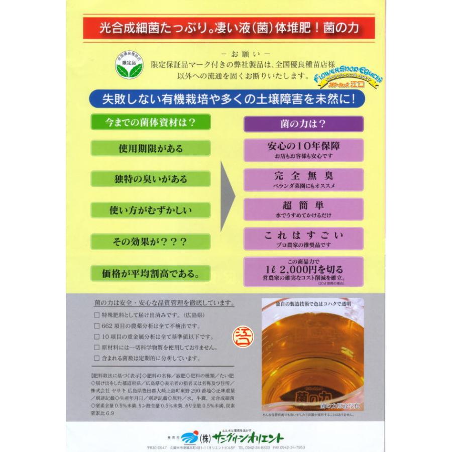菌の力-20L(光合成細菌を含んだ菌体資材) : フラワーショップ江口Yahoo