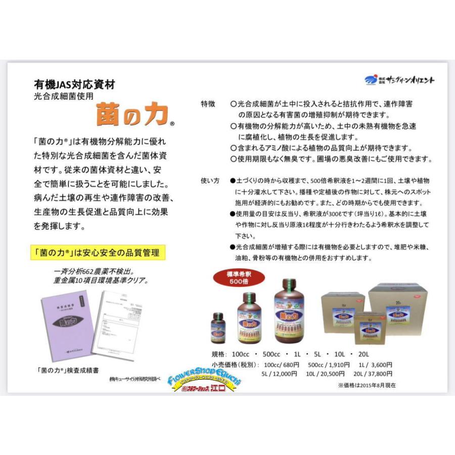 菌の力-20L(光合成細菌を含んだ菌体資材) : フラワーショップ江口Yahoo