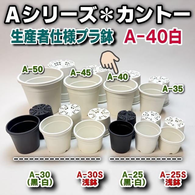 生産者仕様[カントー]プラ鉢A-40-白※黒インク状の付着が有ったりします