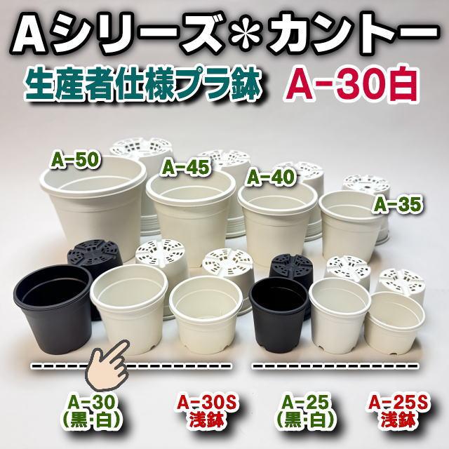 生産者仕様[カントー]プラ鉢A-30-(2.5号相当)-白※黒インク状の付着が有