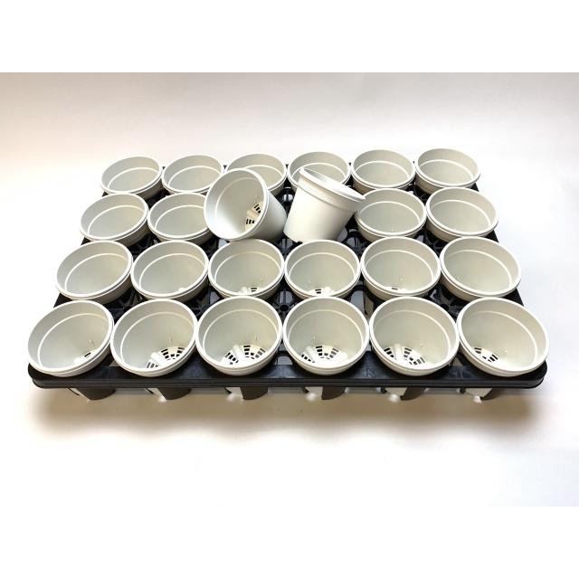 生産者仕様[カントー]プラ鉢A-30-(2.5号相当)-白※黒インク状の付着が有