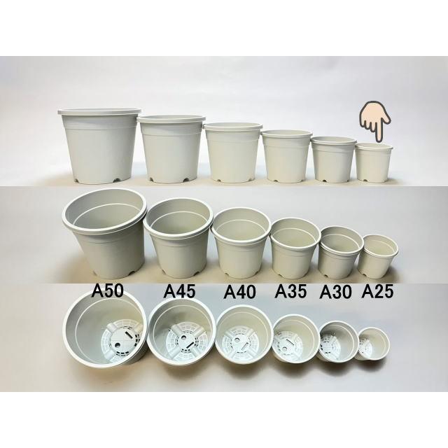 生産者仕様[カントー]プラ鉢A-25-(2号相当)-白[2GW]※黒インク状の付着