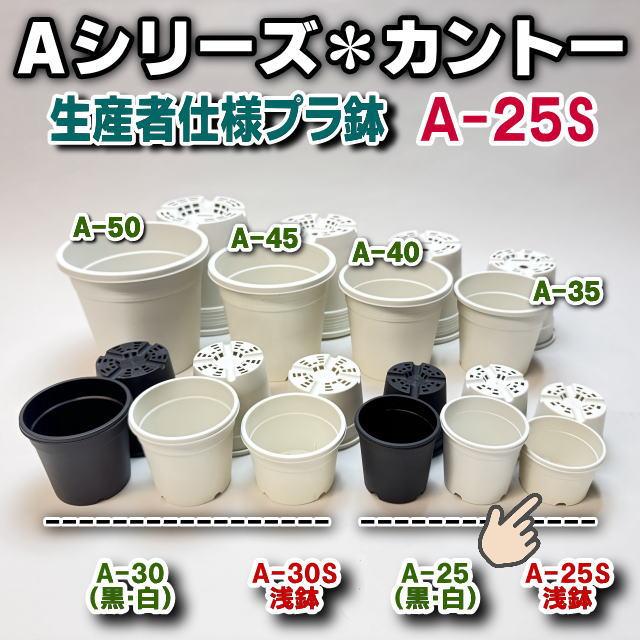 生産者仕様[カントー]浅＊プラ鉢A-25S-(2号浅鉢相当：浅型)-白[w