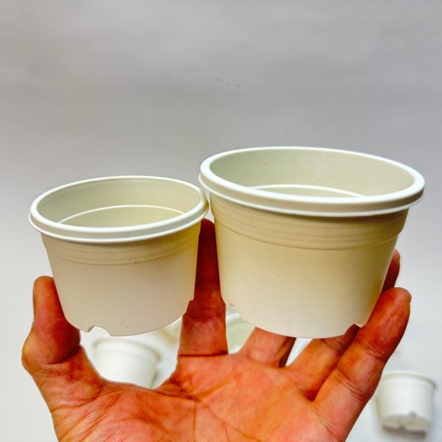 生産者仕様[カントー]浅＊プラ鉢A-25S-(2号浅鉢相当：浅型)-白[w