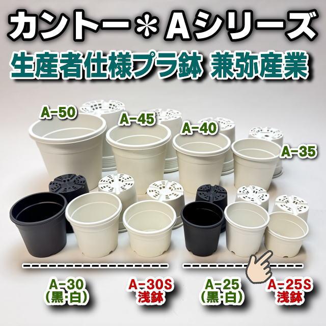 No.まとめ1/1 お徳用ピート配合用土＋キミツ型浅鉢＋八角浅鉢 生産者仕様[カントー]浅＊プラ鉢A-25S-(2号浅鉢相当：浅型)-白[w