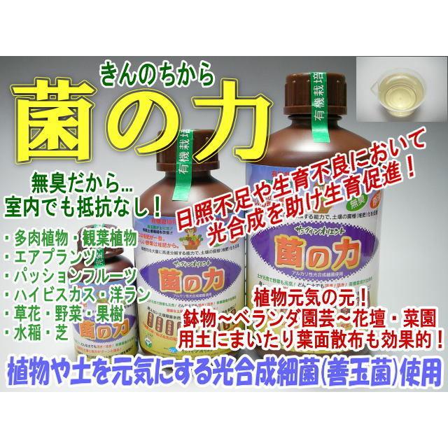 菌さま専用 菌の力-100cc(光合成細菌を含んだ菌体資材) : フラワーショップ江口