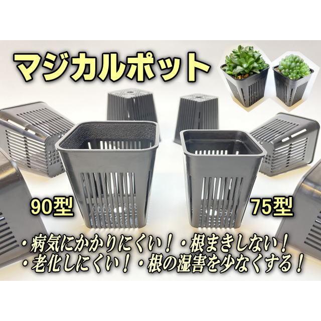 マジカルポット75型(小) (2号中深相当)※穴メッシュ鉢＠全面スリット