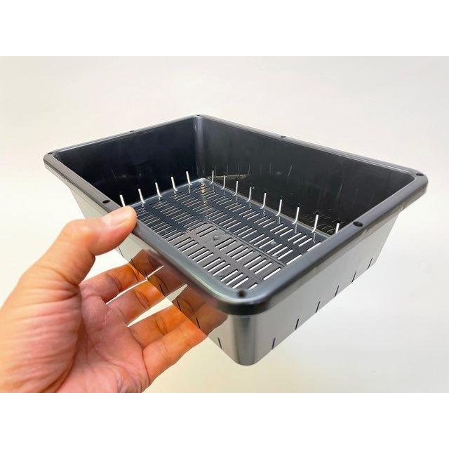 園芸用ミニコンテナ-小※ミニサイズ2.2L容量[空トレイ1枚売] : フラワー