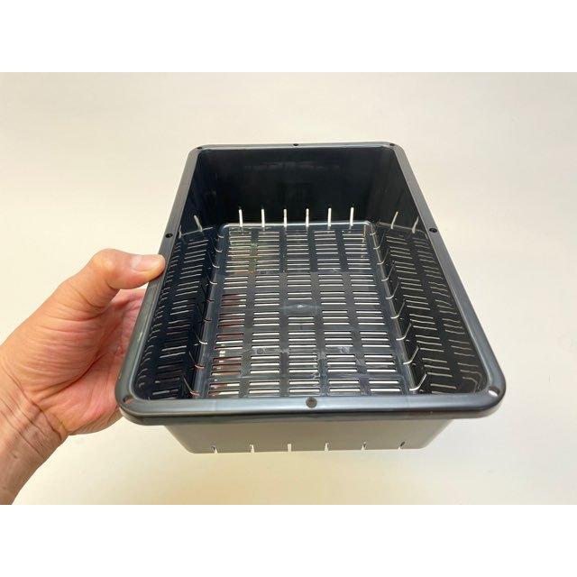 園芸用ミニコンテナ-小※ミニサイズ2.2L容量[空トレイ1枚売] : フラワー